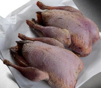 raw partridge 