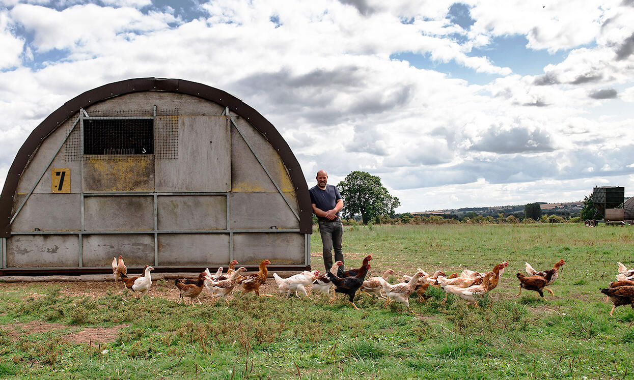 loose birds at kensa farm 