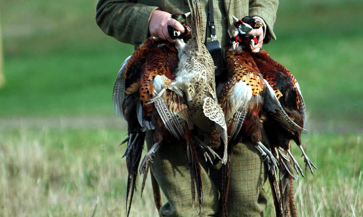 gamekeeper with games