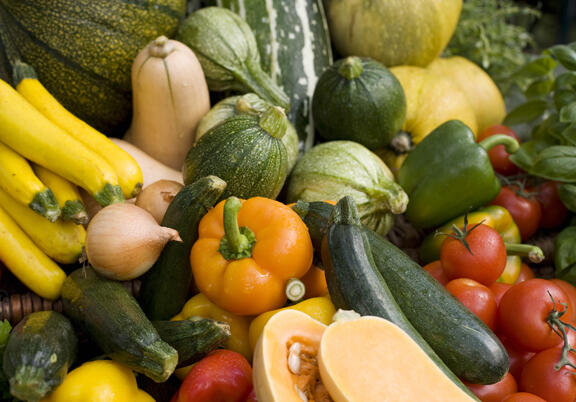oven roasted ratatouille ingredients 