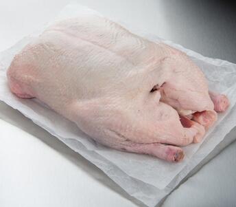 free range duck raw