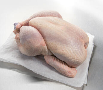 raw free range cockerel