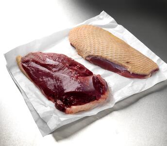 duck breast