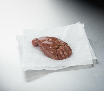 veal kidneys