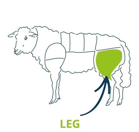lamb leg chart