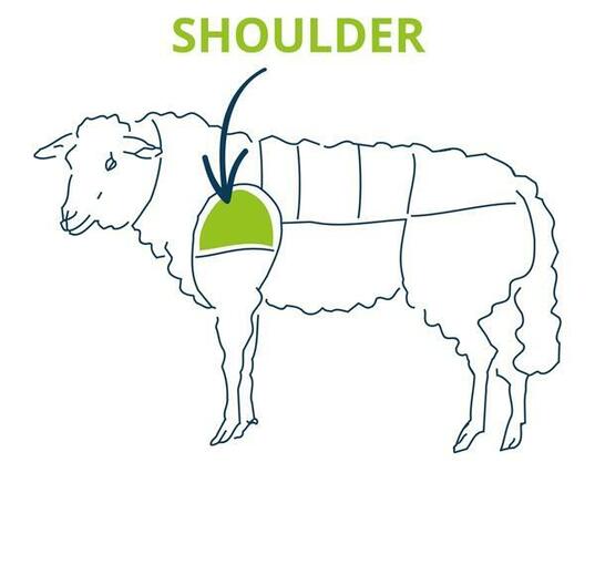 shoulder of lamb chart 