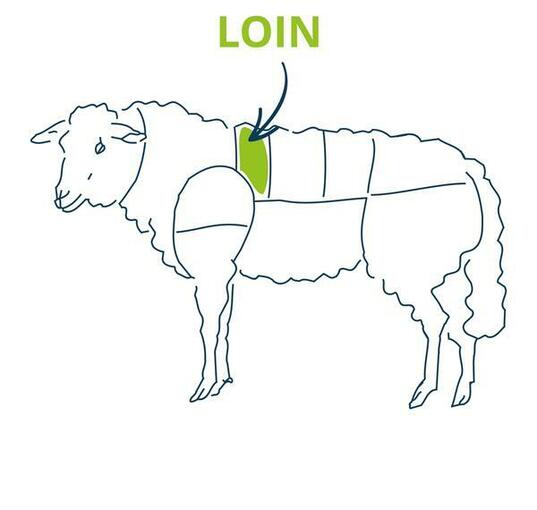 lamb loin chart 