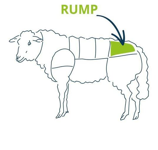 lamb rump chart 