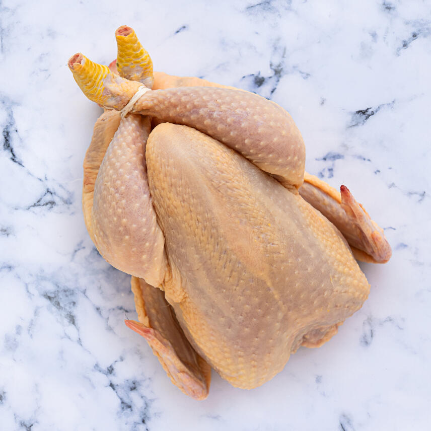 whole chicken on marble background